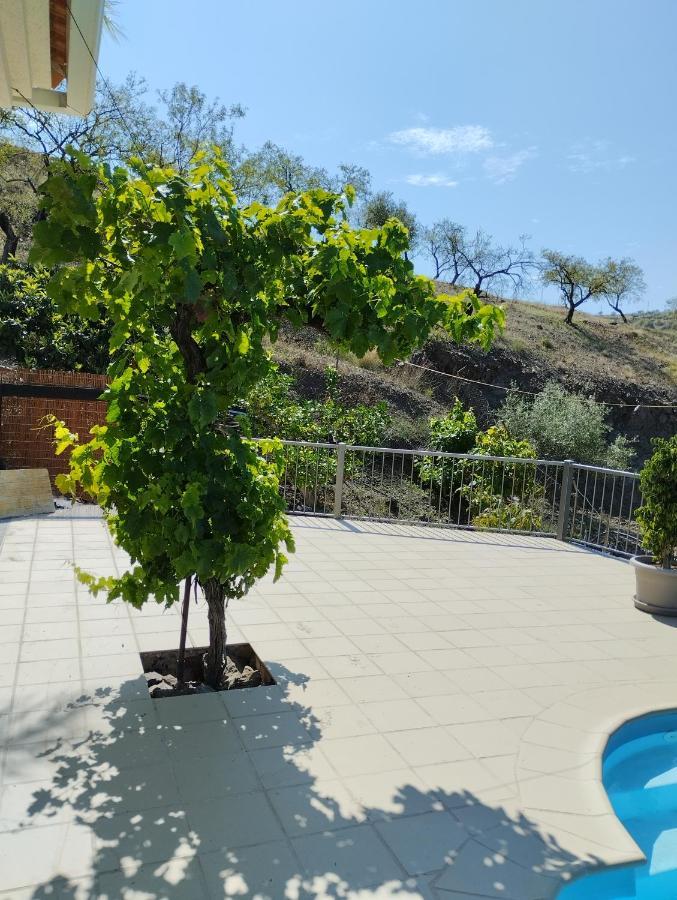 Villa Las Vinas Malaga Exterior photo